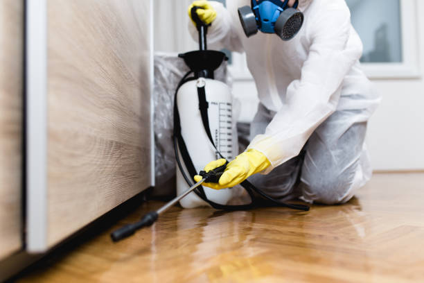 Best Bed Bug Extermination  in Broadview, IL