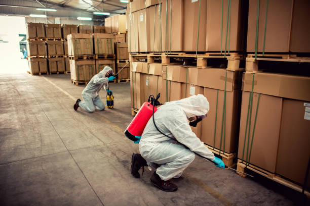 Best Wildlife Control Services  in Broadview, IL