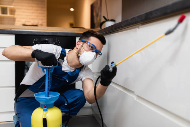 Best Insect Control  in Broadview, IL