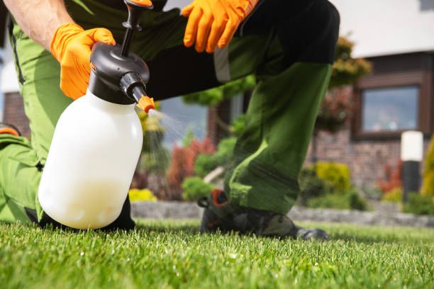 Best Local Pest Control Services  in Broadview, IL