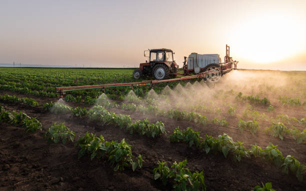 Reliable Broadview, IL Pest Control Solutions