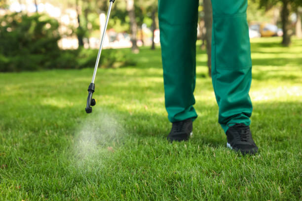 Best Best Pest Control Companies  in Broadview, IL