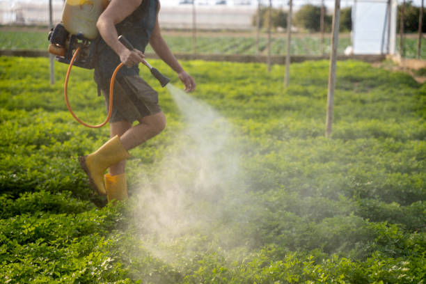 Best Best Pest Control Companies  in Broadview, IL