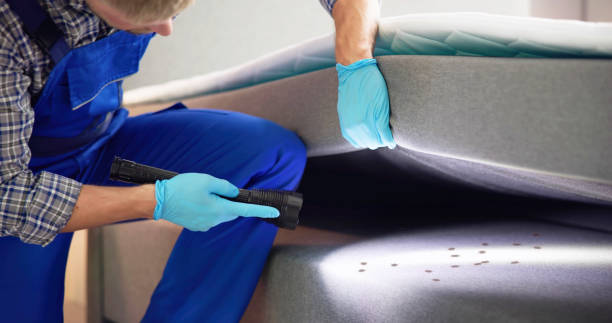 Best Pest Inspection Near Me  in Broadview, IL