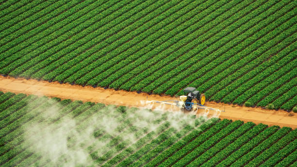 Best Pest Control Treatment  in Broadview, IL