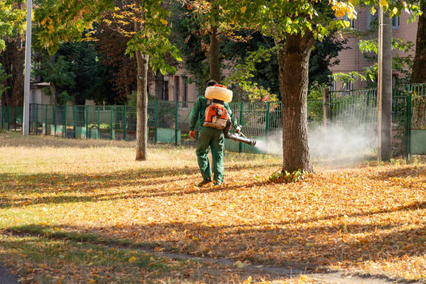 Best Pest Control for Restaurants  in Broadview, IL