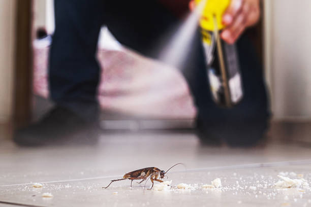 Best Pest Control Near Me in Broadview, IL